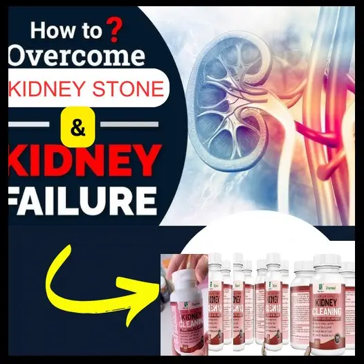Kidney K